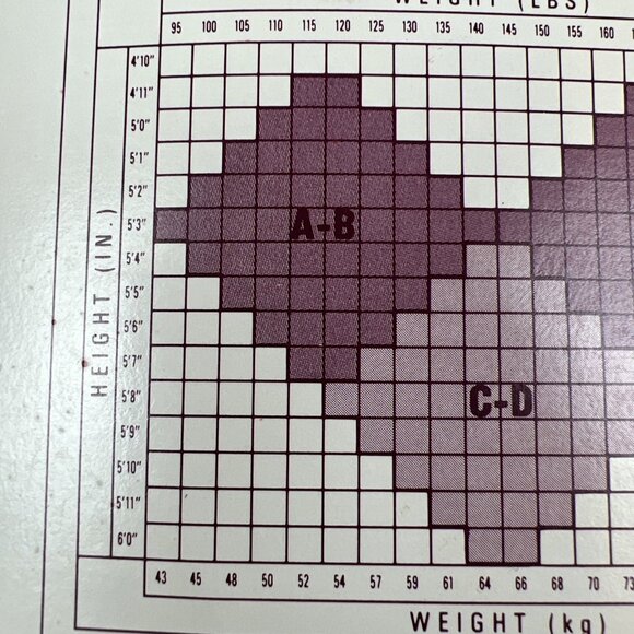 Hanes Panty Hose Silky Opaques Size A-B Pearl Style 743 Vintage - Picture 4 of 5